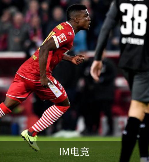 IM电竞介绍